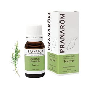 Aceite Esencial de Arbol del Te
