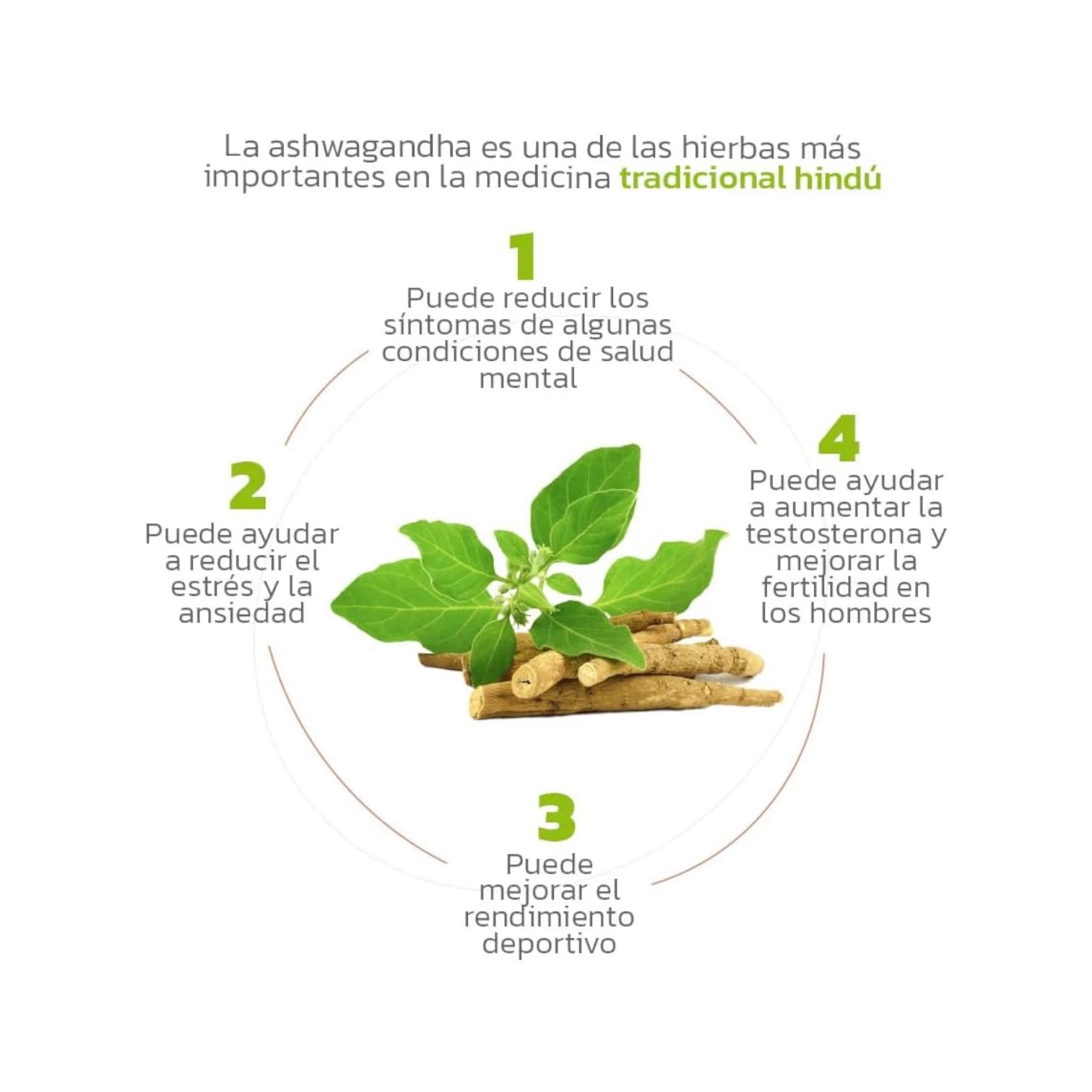 Ashwagandha Sura Vitasan 30 Cápsulas - Imagen 3