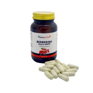 Berberina Gluco AMPK Pamies Vitae