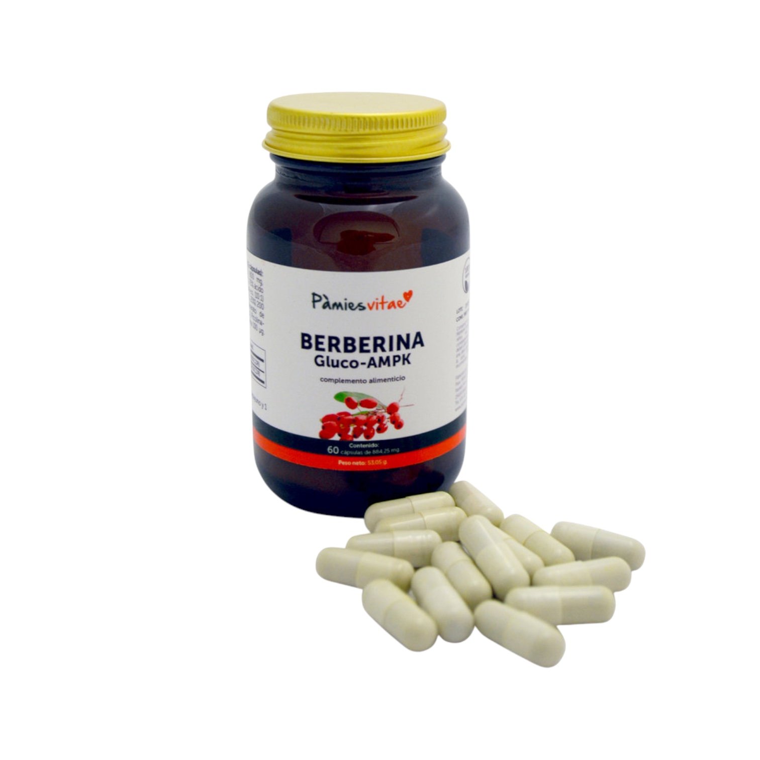 Berberina Gluco AMPK Pamies Vitae