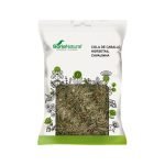 Cola de caballo Planta Soria Natural