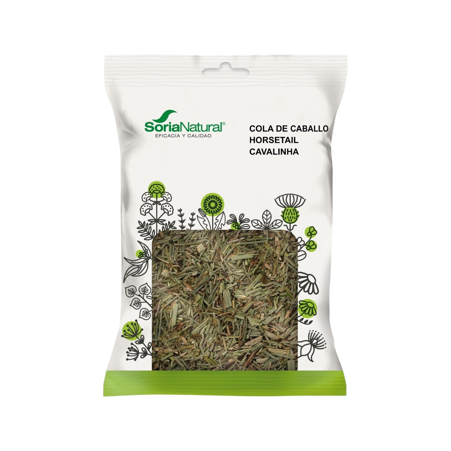 Cola de caballo Planta Soria Natural