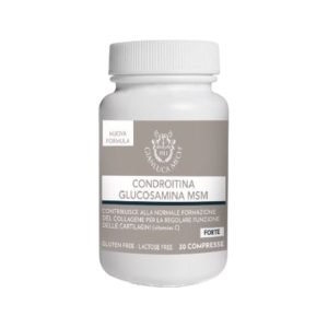 Condroitina, Glucosamina y MSM Gianluca Mech