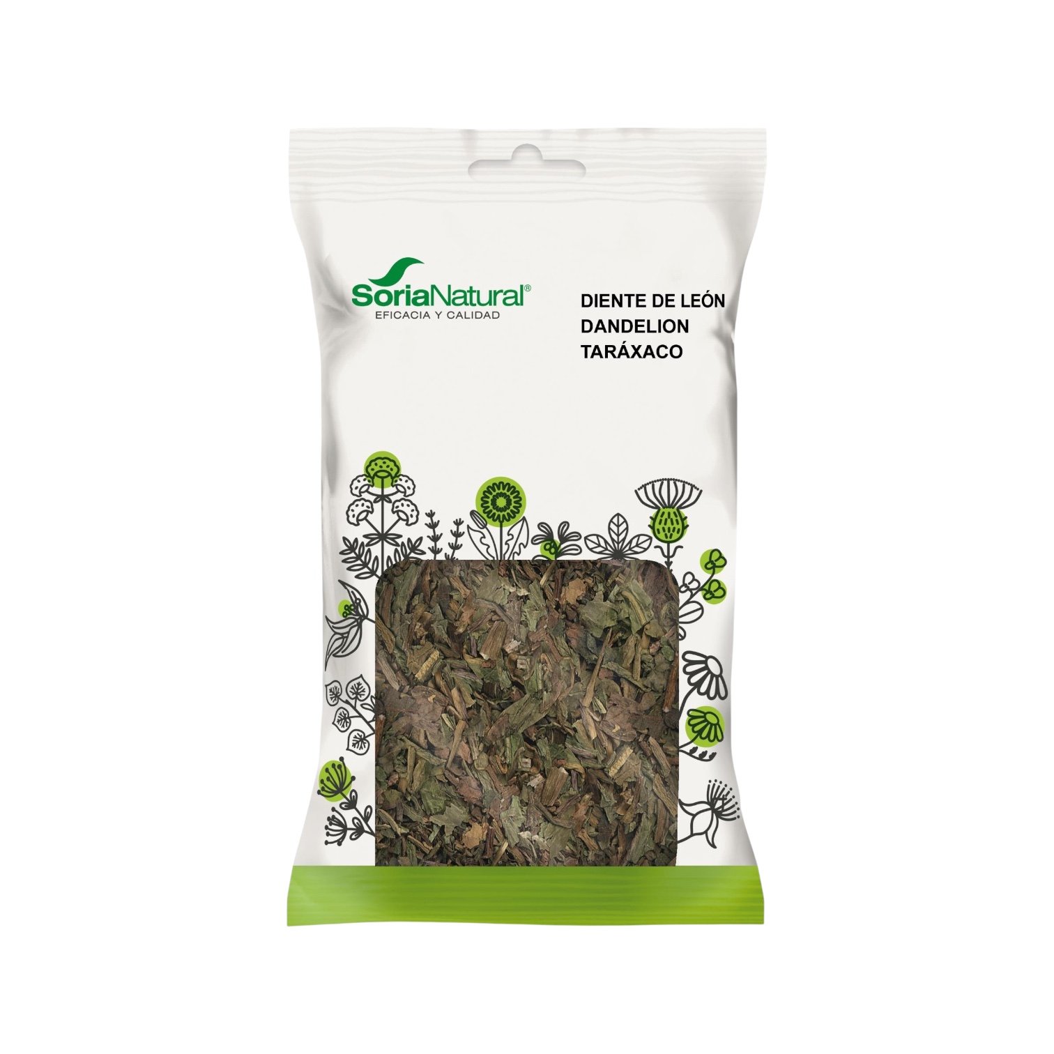 Diente de Leon Planta Soria Natural