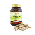 Harpagofito Pamies Vitae