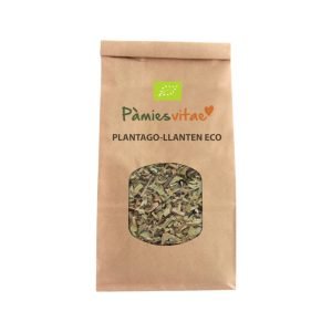 Llanten Eco Planta Pamies Vitae