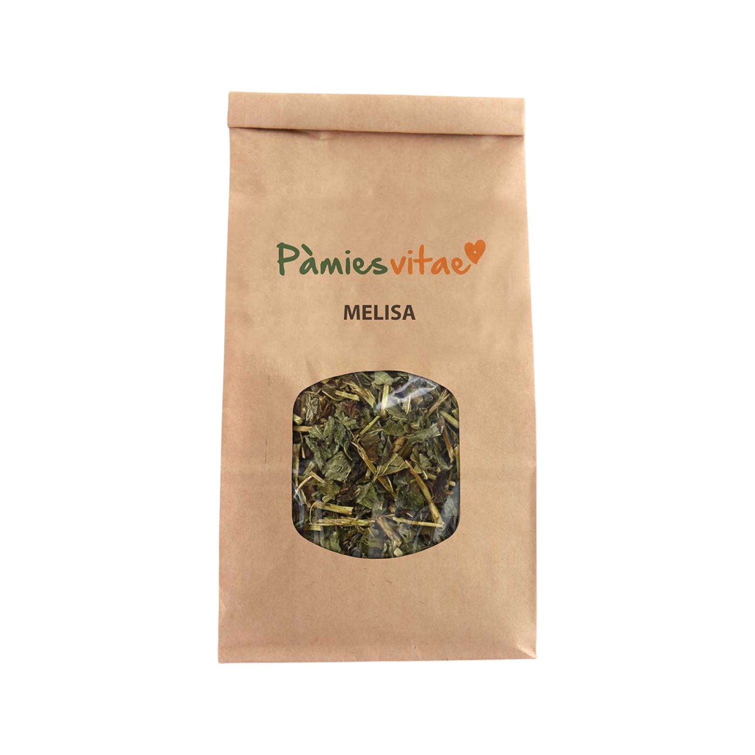Melisa Planta Pamies Vitae