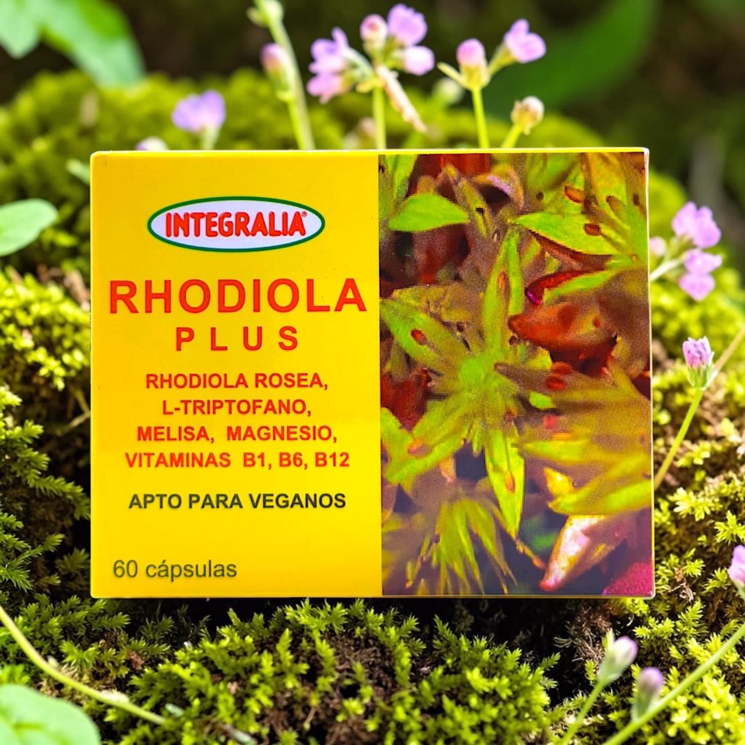 Rhodiola Plus Integralia - Imagen 2