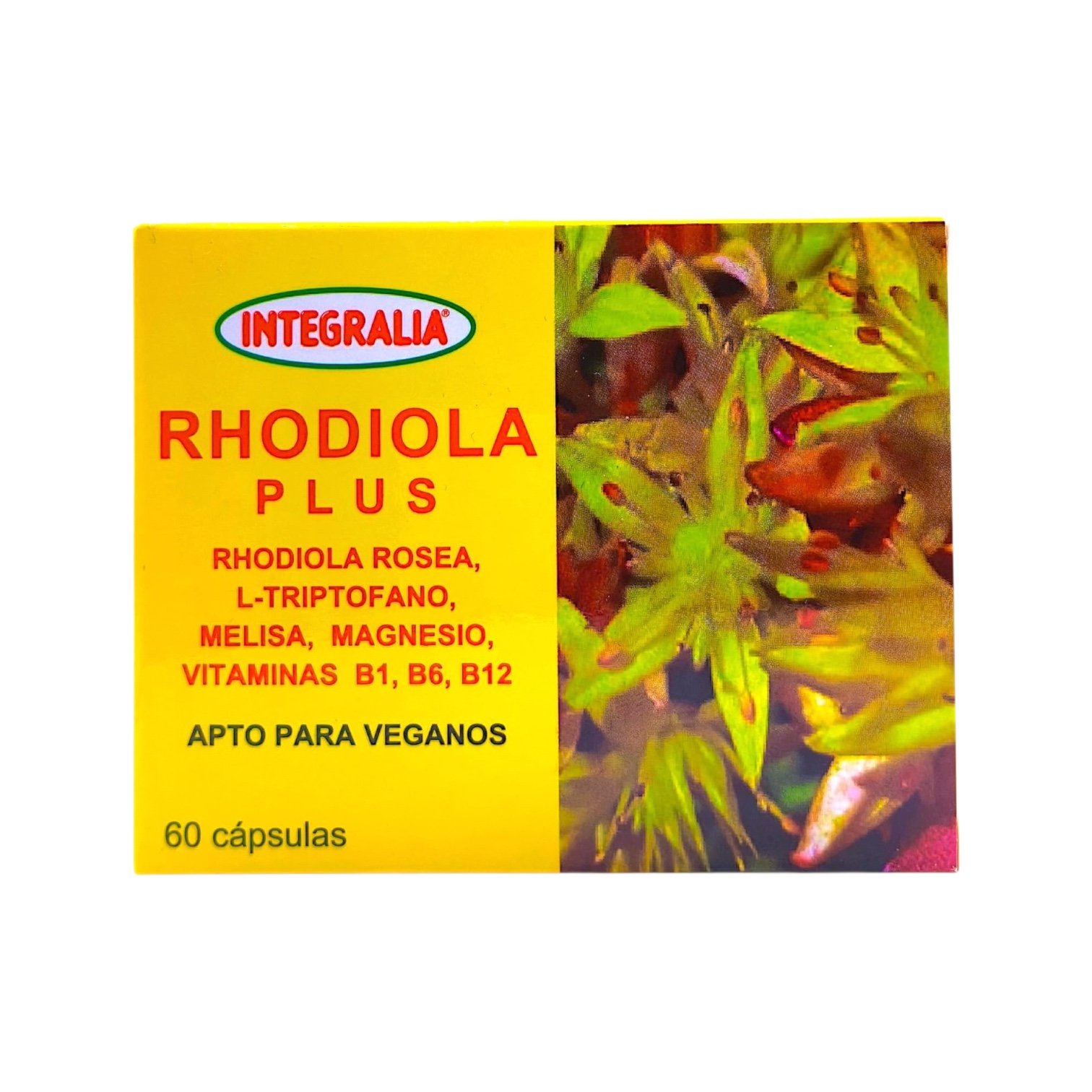 Rhodiola Plus Integralia