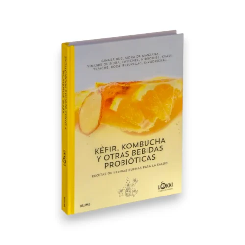 kefir-kombucha-y-otras-bebidas-probioticas